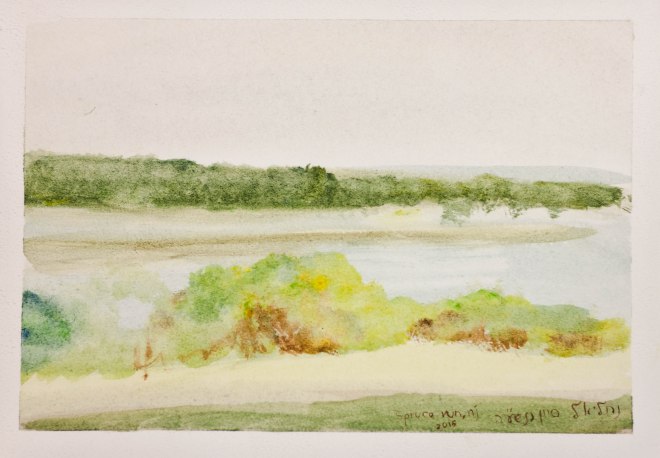 Spruce Run, New Jersey - a pale spring landscape of water and low trees, watercolor