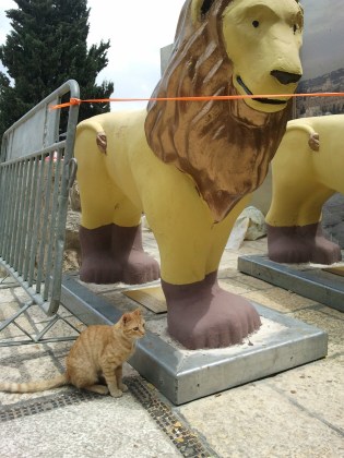 A gold and brown painted lion sculpture in Jerusalem, with a ginger cat sitting at its foot