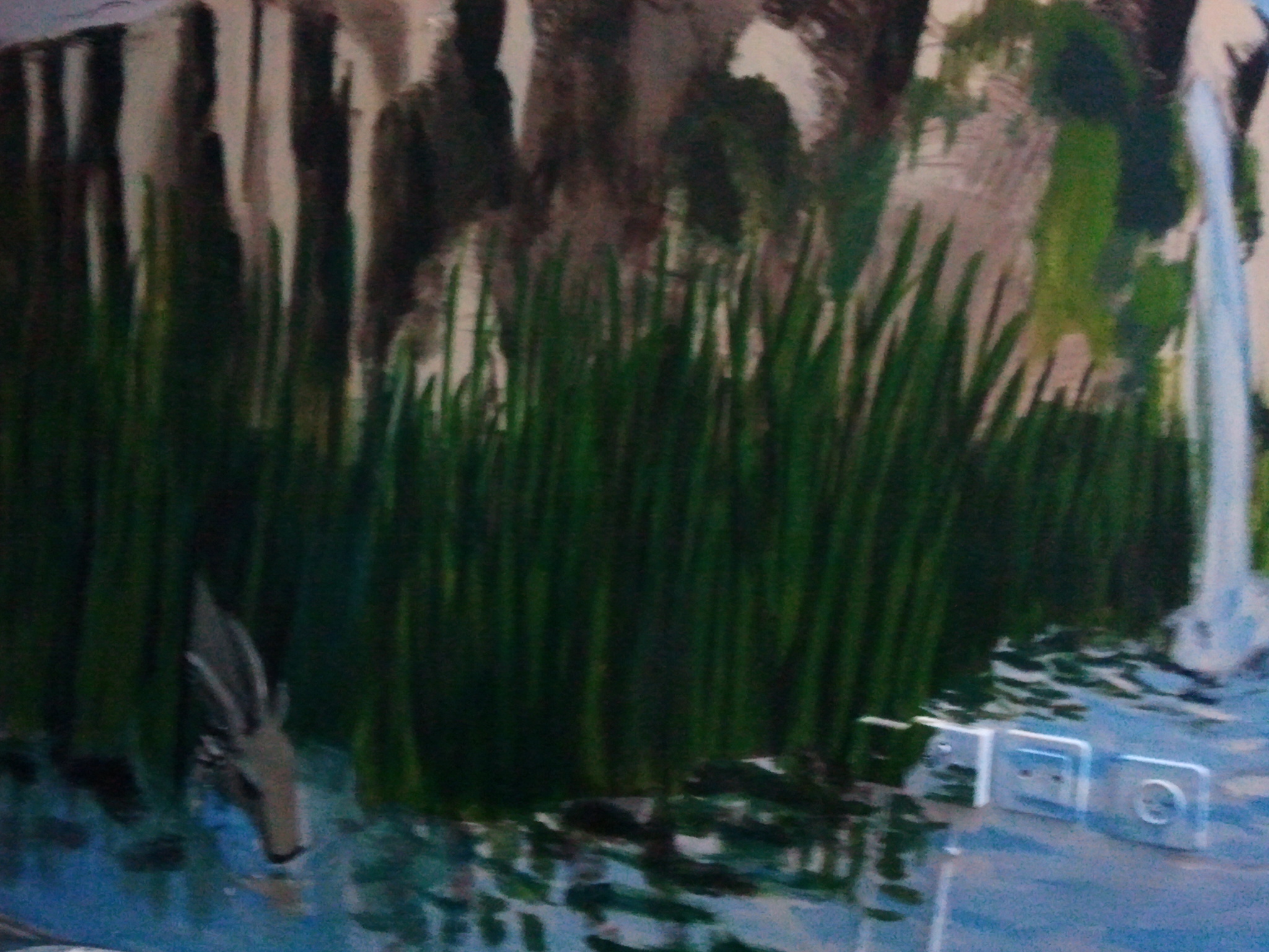 The gazelle drinking at the water's edge among reeds and lily pads, detail of the mural