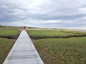 Wooden boardwalk crossing the salt marsh toward the horizon