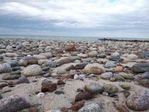 Cobbled beach of round stones under a grey Cape Cod sky