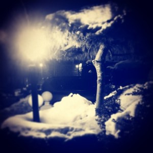 Snowy Brooklyn